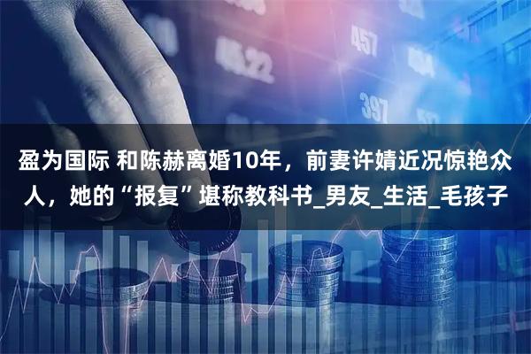盈为国际 和陈赫离婚10年，前妻许婧近况惊艳众人，她的“报复”堪称教科书_男友_生活_毛孩子
