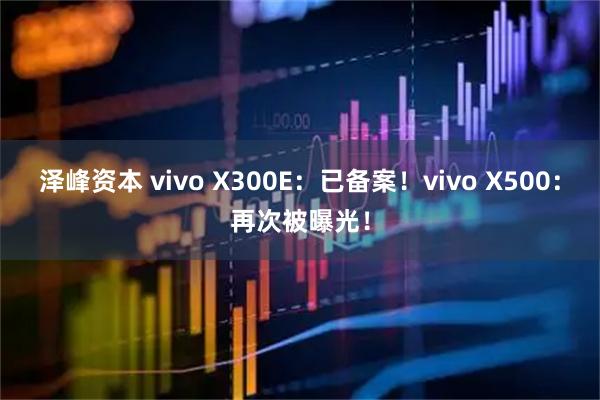 泽峰资本 vivo X300E：已备案！vivo X500：再次被曝光！