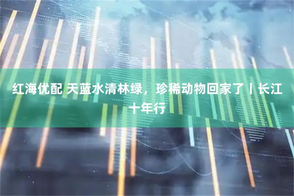 红海优配 天蓝水清林绿，珍稀动物回家了丨长江十年行